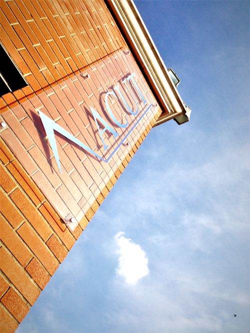 acut_4.jpg
